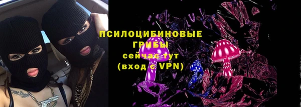 ешки Алзамай