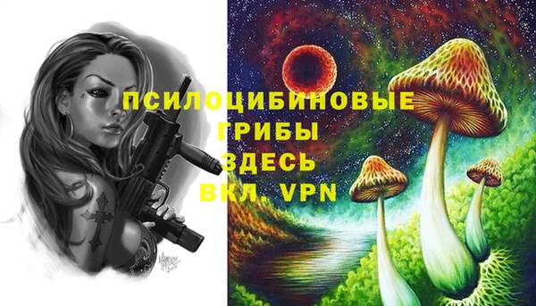 МДМА Алексеевка