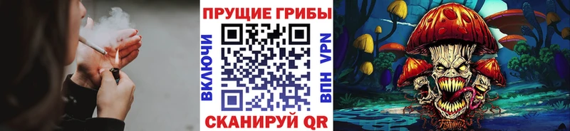 Псилоцибиновые грибы мицелий  Соликамск 